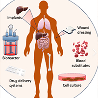 Biomaterials and Tissue