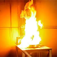 Fire Test