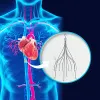 ISO 25539-3 Test methods of cardiovascular implants - Vena cava filters