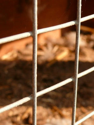 ISO 15630-2 Shear test machine and fixture for Welded steel fabric and lattice girders Steel