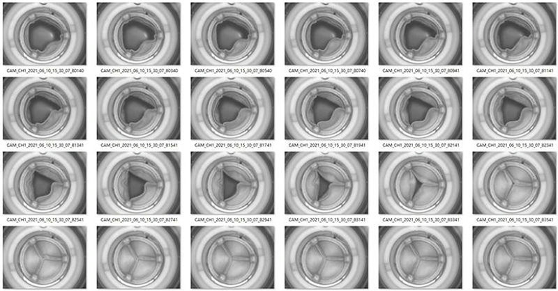 Heart Valve Durability Testing Machine
